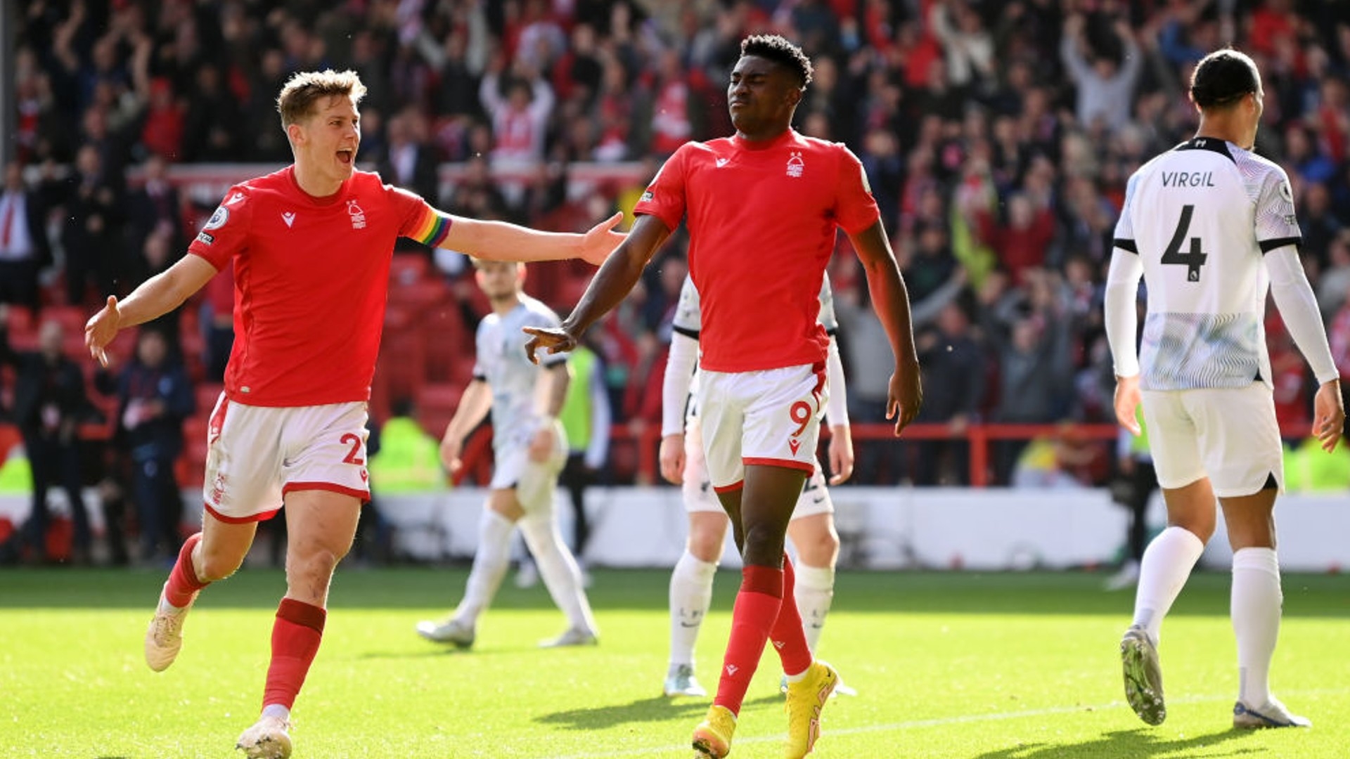 合同的详细 合同的详细