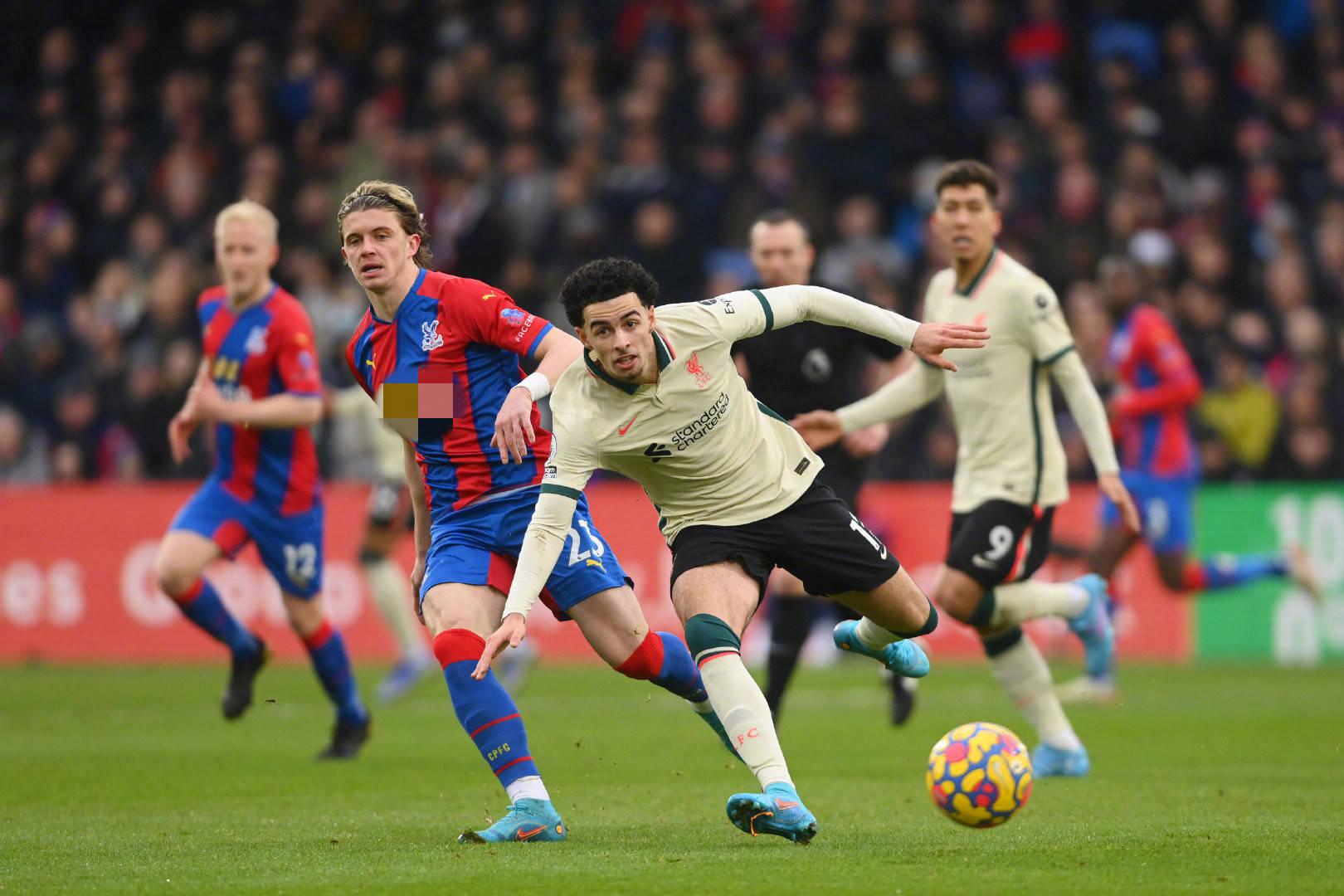 由转会为他 由转会为他